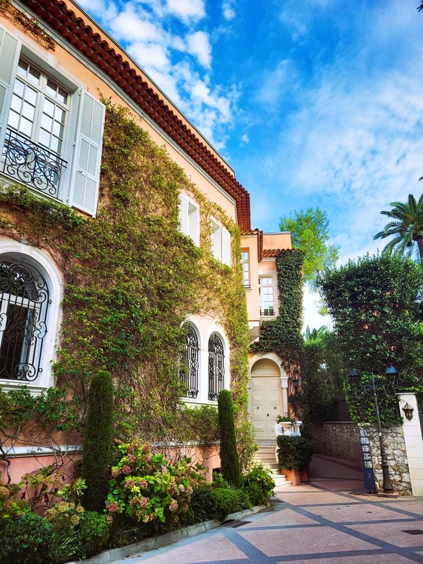 Le mur végétal de la villa "La Fleur du Cap" sur la place David Niven