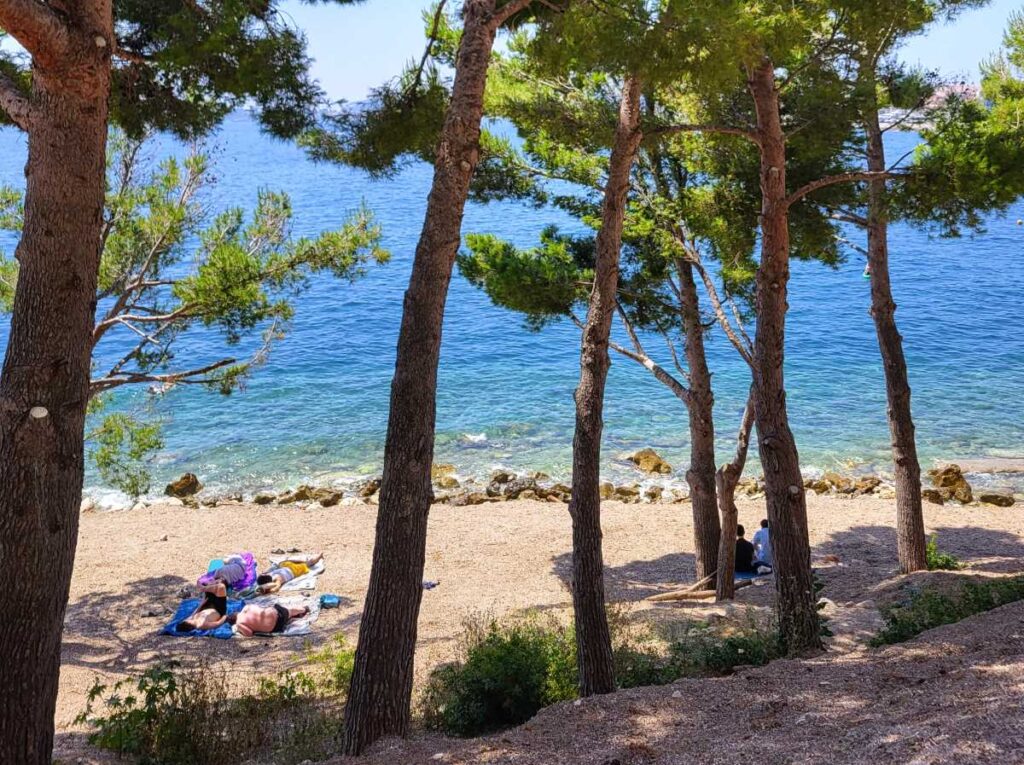 Coin d'ombre tranquille à proximité de la plage de la Petite Afrique