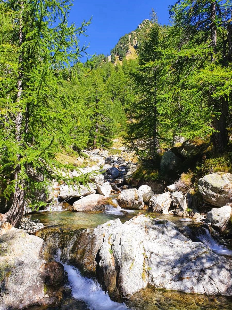 Le Boréon s'écoule gracieusement au cœur du paysage alpin