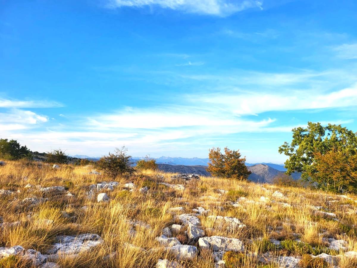 Paysage du col de Vence