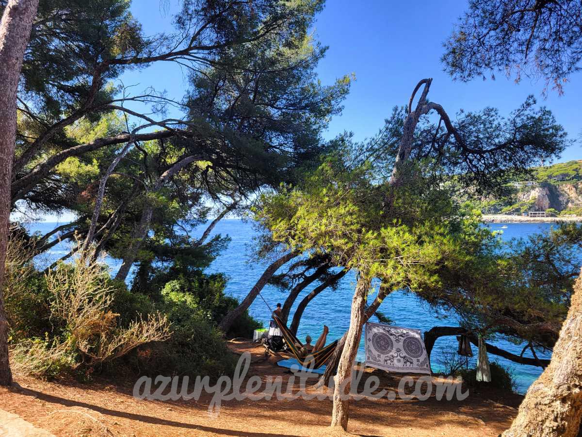 Un moment de détente sous les pins de la promenade des Fossettes