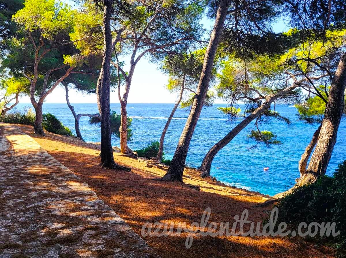 Le chemin de la Promenade des Fossettes à l'ombre des pins