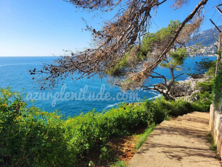 Le sentier Le Corbusier à Roquebrune-Cap-Martin